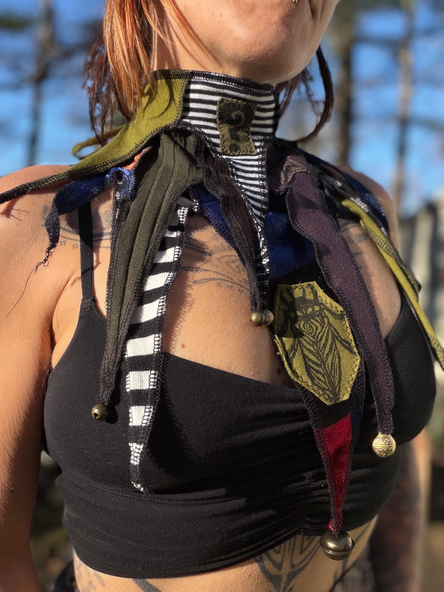 Tipper Circus Collar