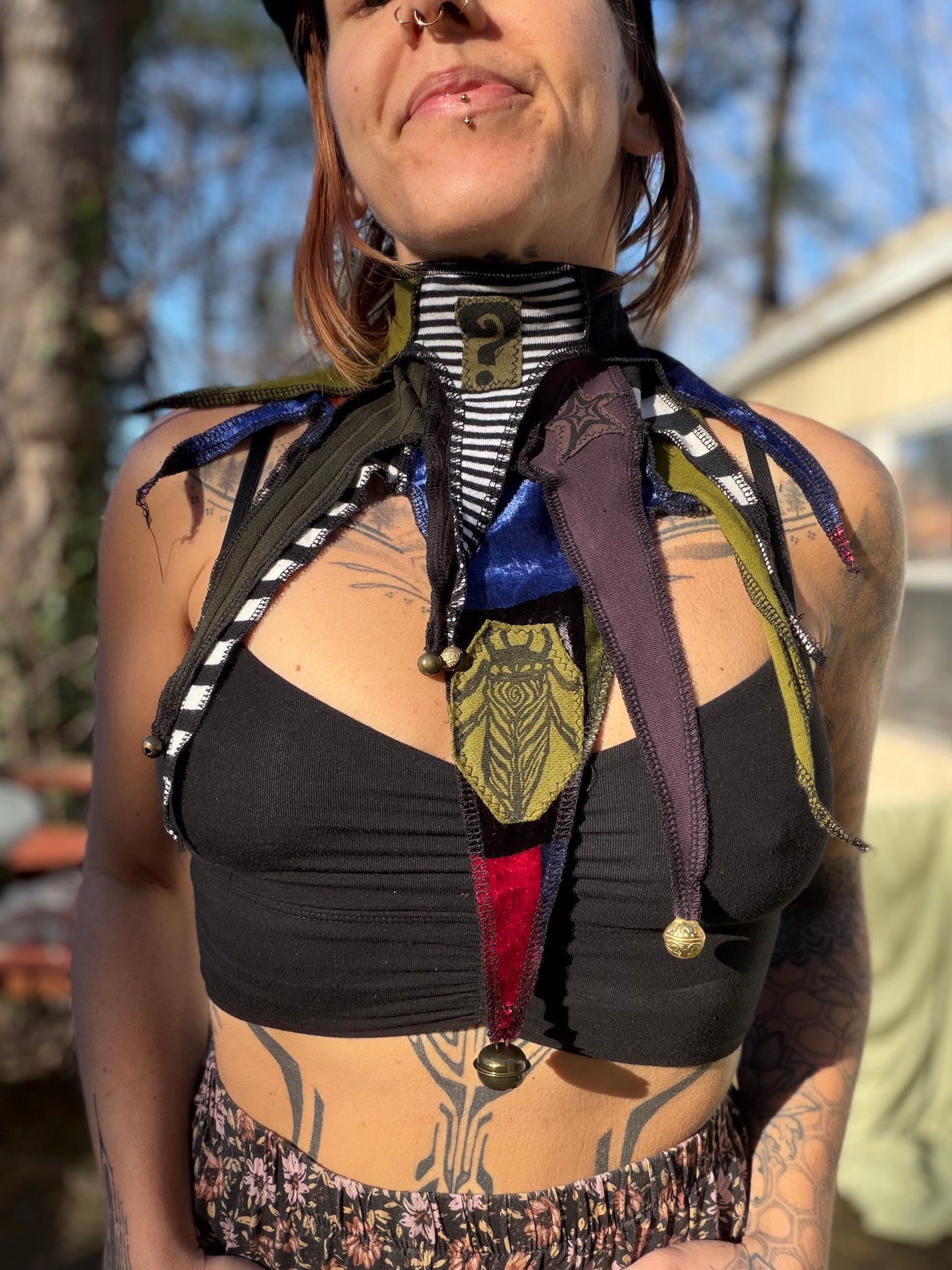 Tipper Circus Collar