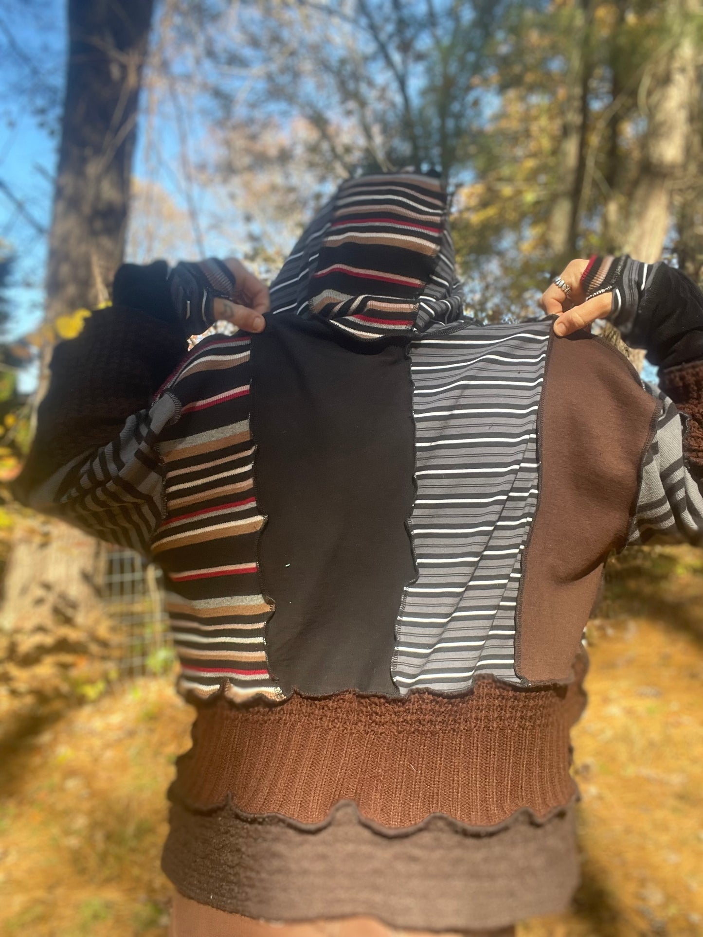 Creative Jester Crop Hoodie