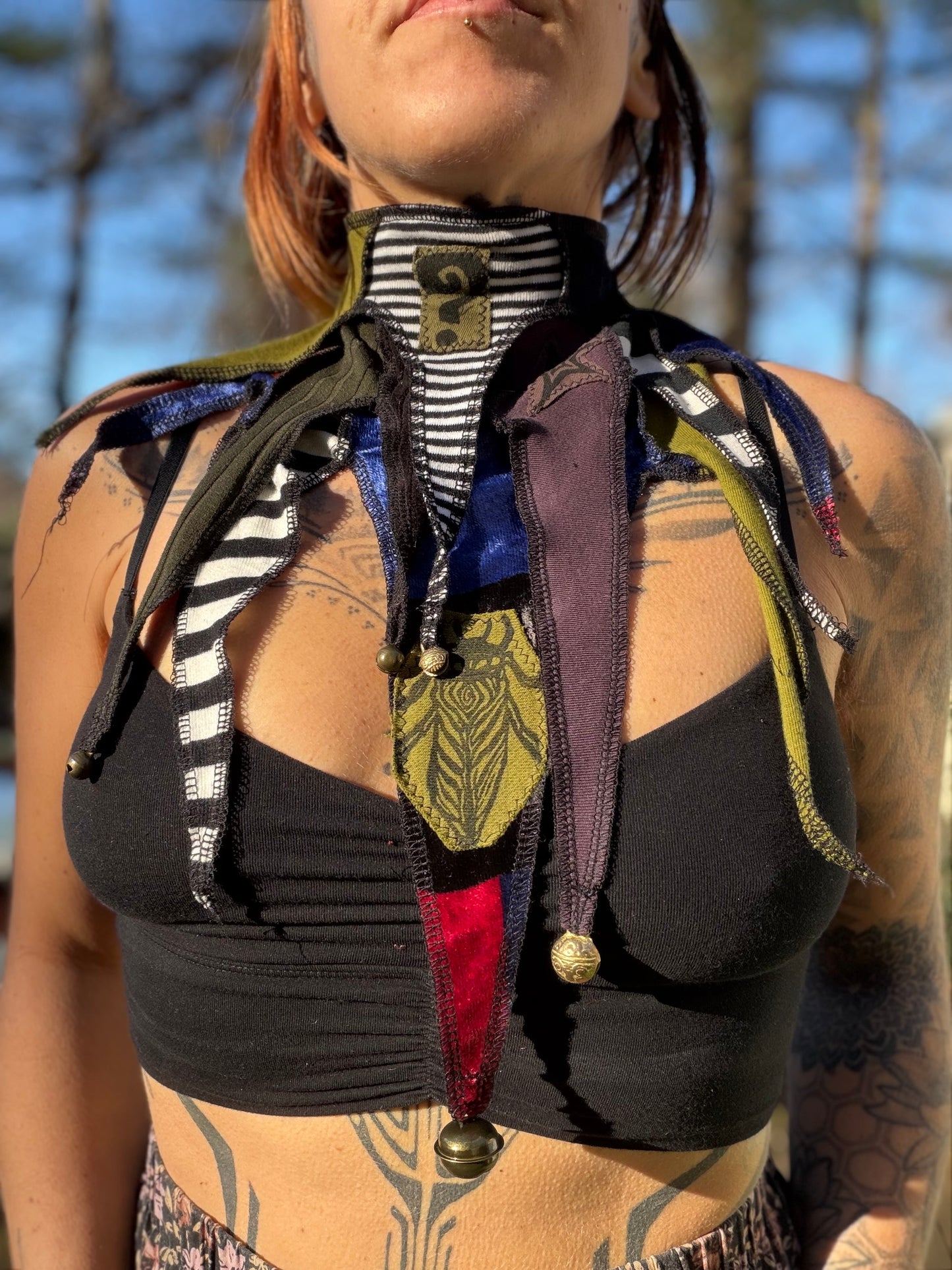 Tipper Circus Collar